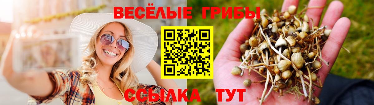 Галлюциногенные грибы Cubensis Новочеркасск